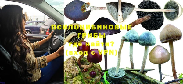 герыч Белокуриха