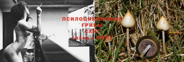 2c-b Беломорск